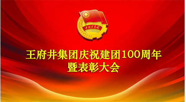 百余名共青团员接受表扬_6008集团官方网站集团官方网站