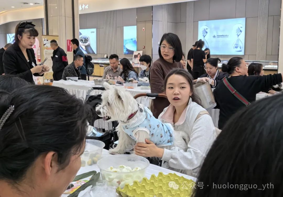 西宁大象城“宠友生涯节”来啦~_6008集团官方网站集团官方网站