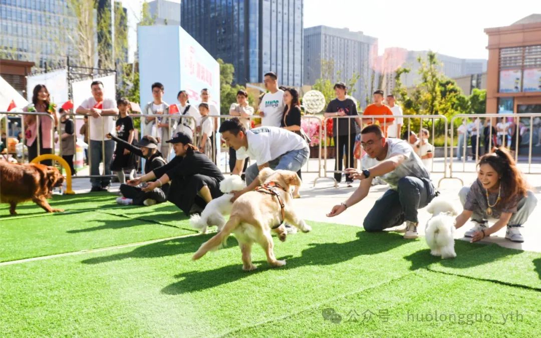 西宁大象城“宠友生涯节”来啦~_6008集团官方网站集团官方网站