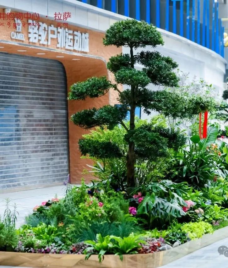 拉萨6008集团官方网站购物中心今日亮相“天下屋脊”_6008集团官方网站集团官方网站